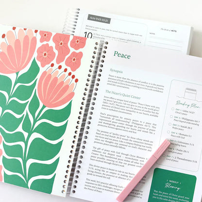 Bible in a Year: 52-week Study & The Good and Beautiful Bible Stories