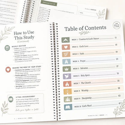Bible In A Year: 52-Week Study