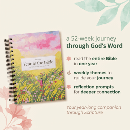 A Blessed Year in the Bible Study